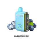 Geekbar 15000 Puff Blueberry Ice-Disposable Vape