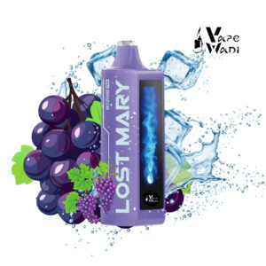 Lost Mary MO20000 Puff Grape Ice Disposable Vape