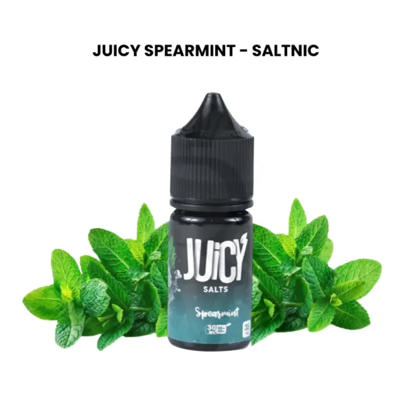 JUICY SPEARMINT SALTNIC 30ml