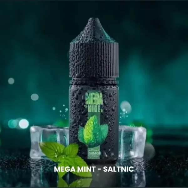 Mega mint Saltnic 30ml in Riyadh